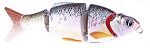 Воблер Izumi Shad Alive 4 section white fish 80 (FAST SINKING) №2