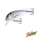 Воблер плавающий Salmo BUTCHER F 05/RD