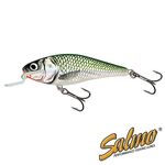 Воблер плавающий Salmo EXECUTOR SR 05/EF