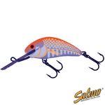 Воблер плавающий Salmo HORNET F 06/UVO