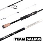 Спиннинги Salmo TIOGA