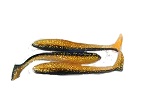 MunMun Shad