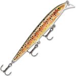 Воблер Rapala Scatter Rap Minnow SCRM11 TR плавающий  1,8-2,7м,  11см,  6гр